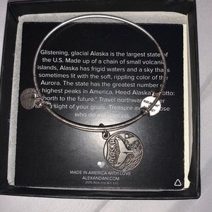 Alex and Ani Alaska bracelet